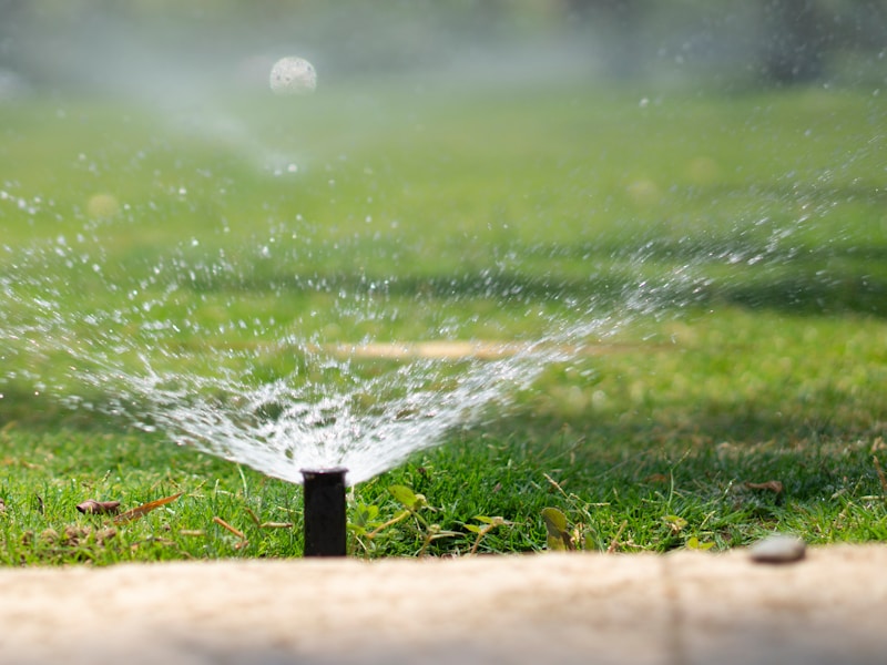 Profesyonel Rotor Kurulumu