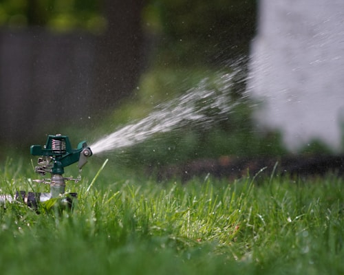 Profesyonel Rotorlar