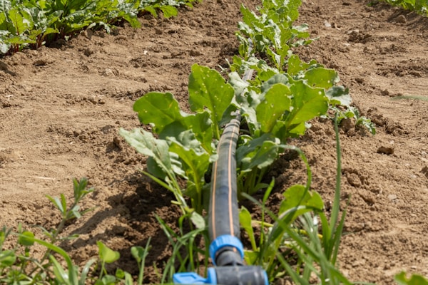 Damlama Sulama Sistemleri