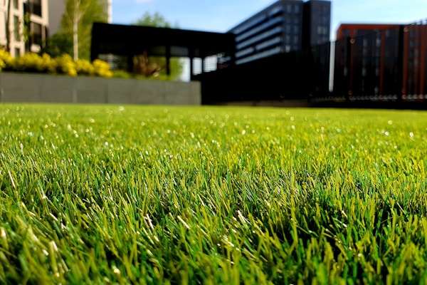 Peyzaj ve Bahçe Bakımı
